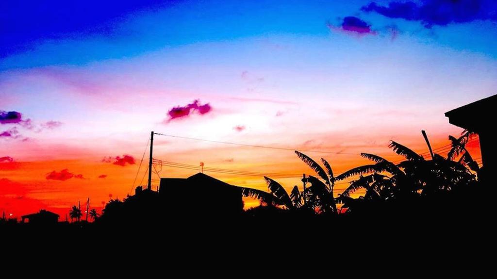 Gemini House Bed & Breakfast Christ Church Luaran gambar