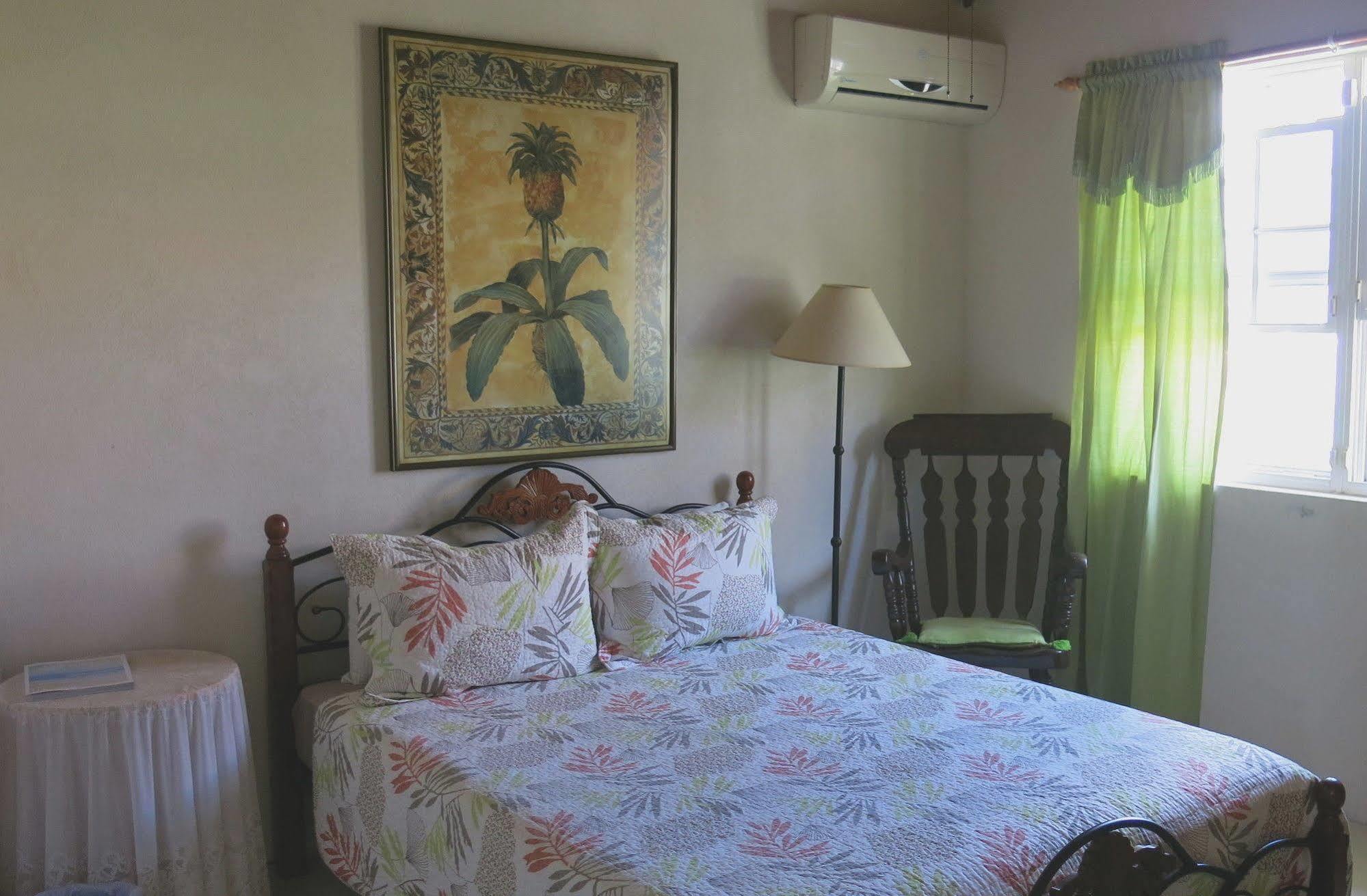 Gemini House Bed & Breakfast Christ Church Luaran gambar